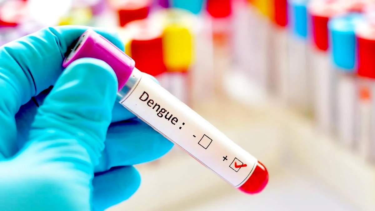 Casos de dengue en la provincia de Buenos Aires. Fuente: (Twitter)