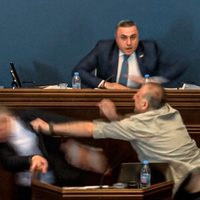 Así fue el enfrentamiento a golpes entre legisladores de Georgia (Video)