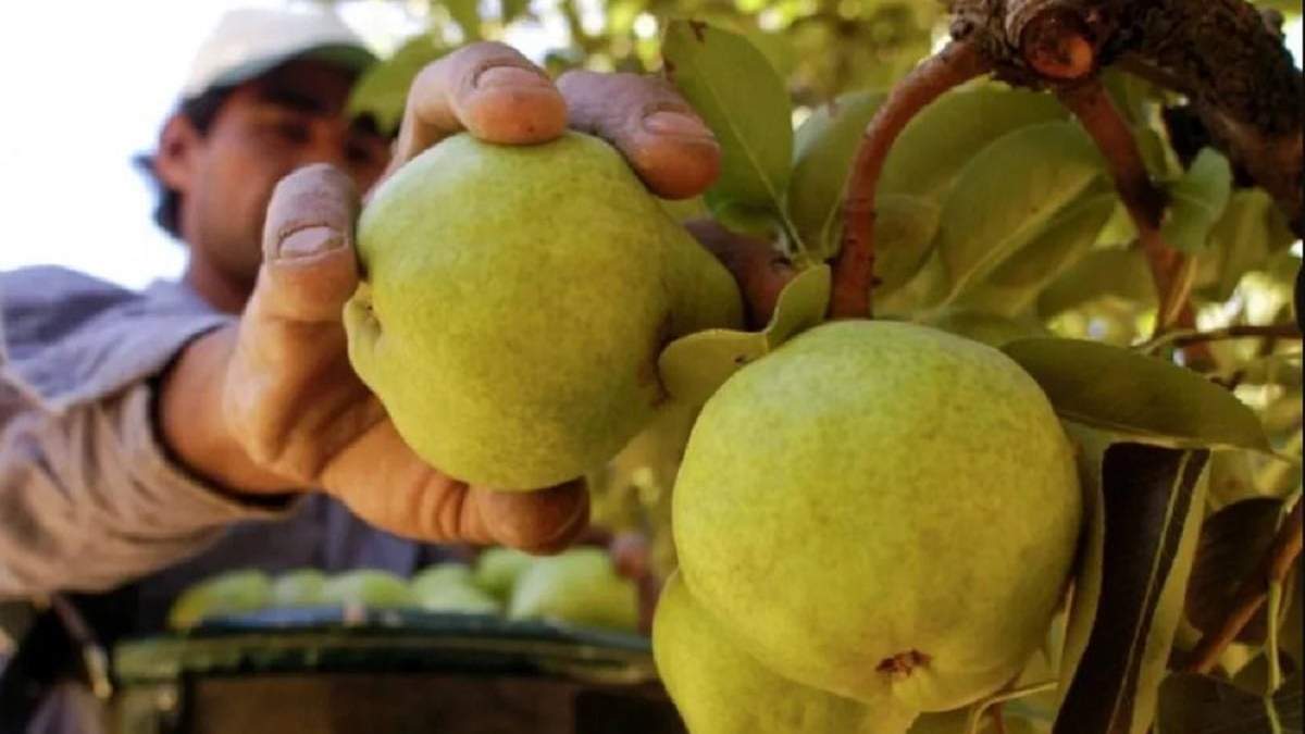 El gobierno afirmó que los créditos buscan “preparar a este Neuquén para todo lo que viene en el post Vaca Muerta". Fuente: (Gobierno de Neuquén)