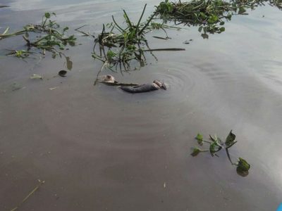 Suman 10 los cuerpos encontrados en límites entre Jalisco y Michoacán