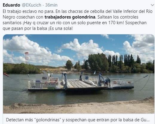 Tuit trabajadores golondrina