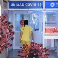 Fuerte aumento en la cantidad de muertos en Neuquén: se registraron 20 en la última jornada