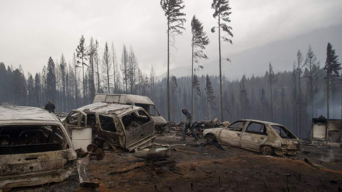 Incendios en El Hoyo. Fuente: (Twitter)