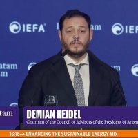 Incendios en la Patagonia y el carpetazo a un funcionario de Milei