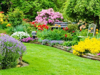 La mezcla súper fácil de preparar y económica para librar a tus plantas de los hongos