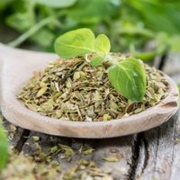 Orégano con limón: conocé el poder sanador que lograrás al mezclar ambos y sumarlos a tu dieta