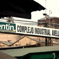 Vicentin: la corte santafesina restituyó a los directores de la empresa