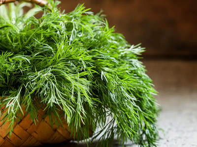 5 plantas aromáticas que podés tener dentro de casa para aprovechar su rico olor y que cuidan tu salud