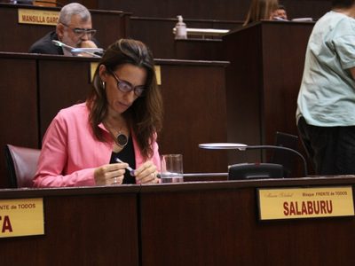 La diputada, Soledad Salaburu, propuso una serie de modificaciones a la ley provincial 2786
