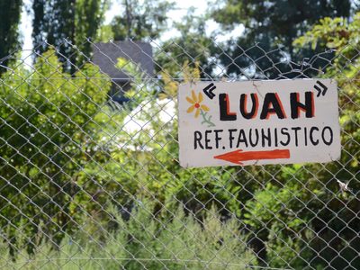 El Refugio Luan cerró sus puertas y trasladan a los últimos animales