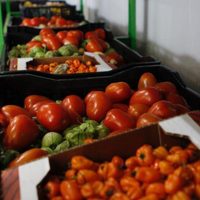 Con Mancera usaban banco de alimentos de la Central de Abasto a cambio de votos, acusan