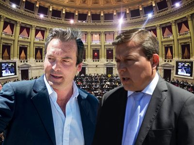 Nuevo diputado por Río Negro: quién ocupará la banca de Martín Soria