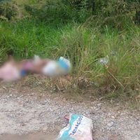 Tres policías 'levantados” en Veracruz, aparecen decapitados en Tabasco