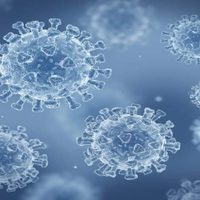 Sedesa descarta alerta epidemiológica por subvariante “Pirola”, de covid-19