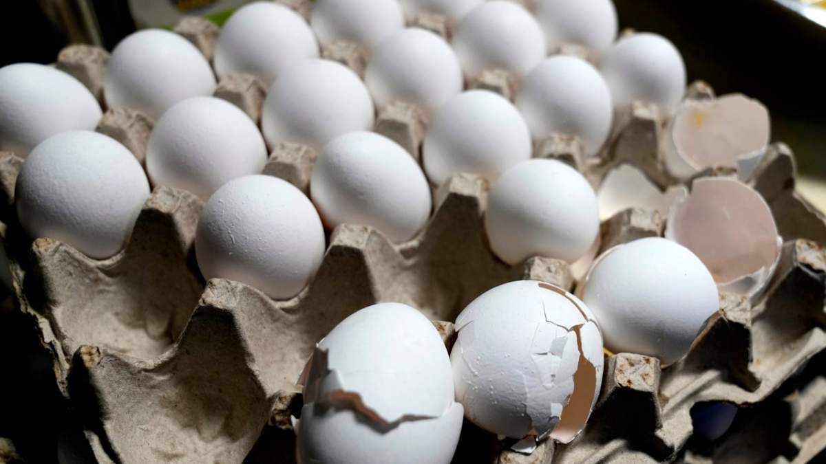 Unos huevos en el restaurante 5 Rabanitos en Chicago el 16 de febrero del 2025