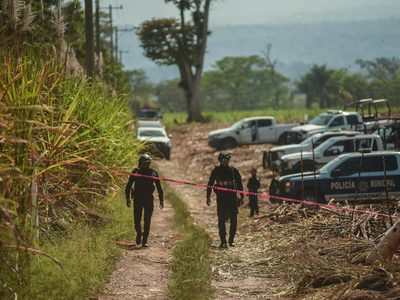 Escalada de violencia en Veracruz: Hallan a tres personas desmembradas en bolsas negras