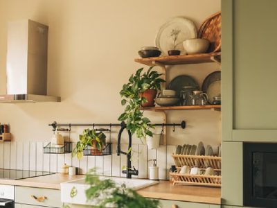 La planta que todos ponen en la cocina y en realidad atrae humedad y malos olores