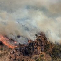 Cerca de 1.500 hectáreas afectadas por los incendios en Chubut