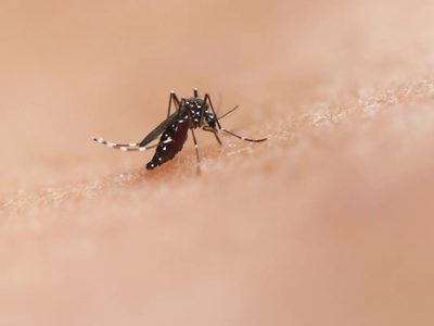 ¿Quiénes podrán pedir un turno para vacunarse contra el dengue en CABA?