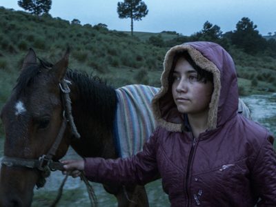 Tatiana Huezo, Lila Avilez y Sofía Auza, triunfadoras en la Berlinale