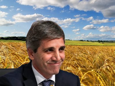 Apoyo al campo: el Gobierno Nacional anunció una nueva baja a las retenciones