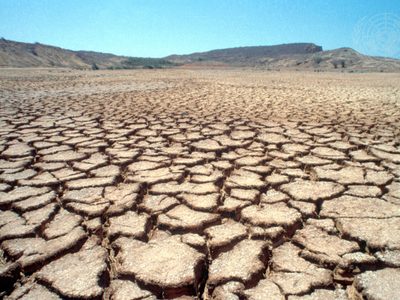 La “megasequía” en el suroeste de Norteamérica es la más grave en mil 200 años