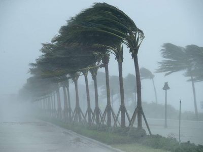 Se forma la tormenta Mindy en el Golfo de México: tocará tierra en la costa de Estados Unidos