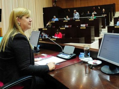Se picó en la Legislatura: sin avisarle a la vicegobernadora, propusieron crear un fondo anticíclico