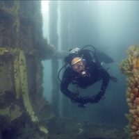 Proyectan un circuito de buceo en homenaje a Malvinas en Las Grutas