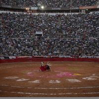 Jueza ordena la suspensión inmediata de corridas de toros en la Plaza México