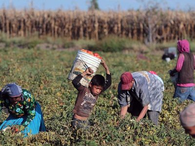 Explotación laboral: rescataron a adultos y niños que eran víctimas de una red de trata de personas
