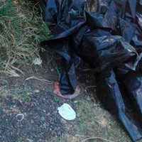 Hallan muertos a dos hermanos que fueron 'levantados” en Michoacán