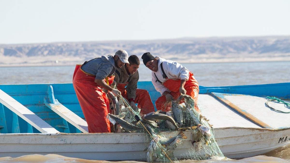 El problema de la pesca ilegal en México requiere un compromiso firme de las autoridades mexicanas, así como de la colaboración con la sociedad civil y del sector pesquero legal, señaló la organización Oceana.
