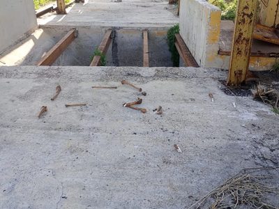 Suman 23 predios localizados con restos humanos en Reynosa y Río Bravo en lo que va del año