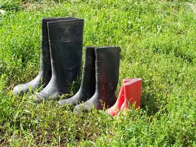 Tranformá el jardín sin gastar un solo peso con esas botas de lluvia viejas que ibas a tirar
