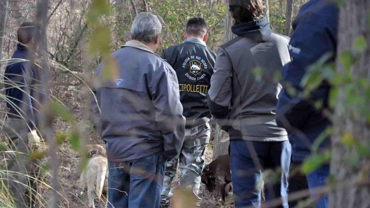 Rastrillaje y búsqueda de Javier Videla en General Roca. Fuente: (Twitter)