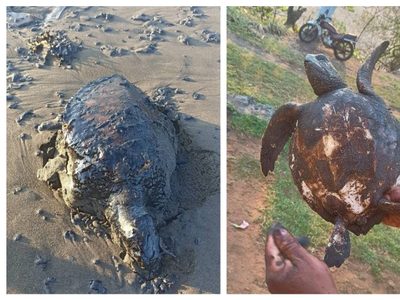 Derrame de hidrocarburo se originó en un barco privado en las costas de Tabasco: Nahle