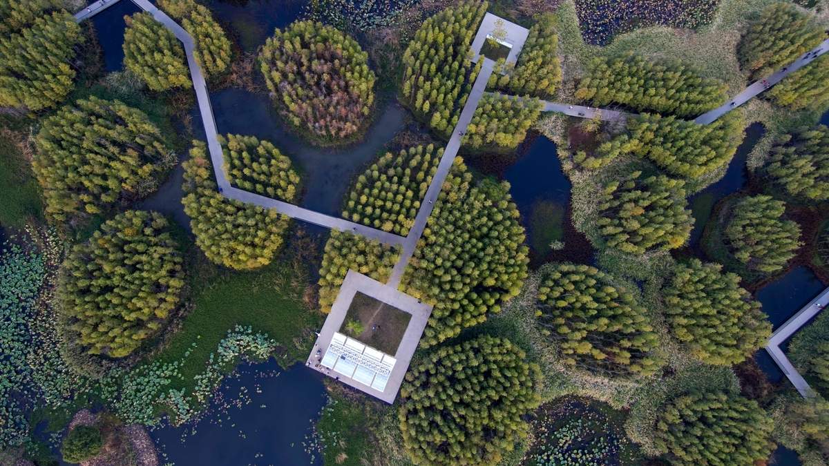 Una pasarela atraviesa islotes y estanques en el parque Cola de Pez, construido sobre un antiguo vertedero de cenizas de carbón en Nanchang