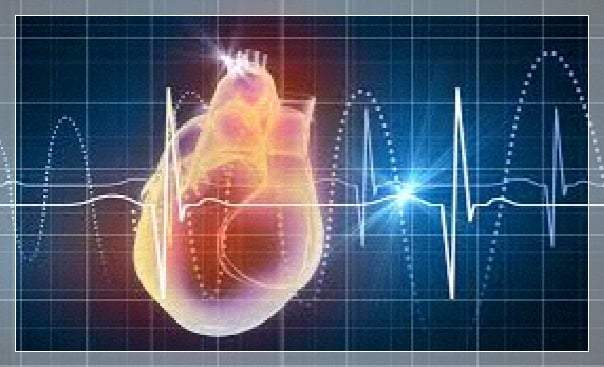 Corazón humano