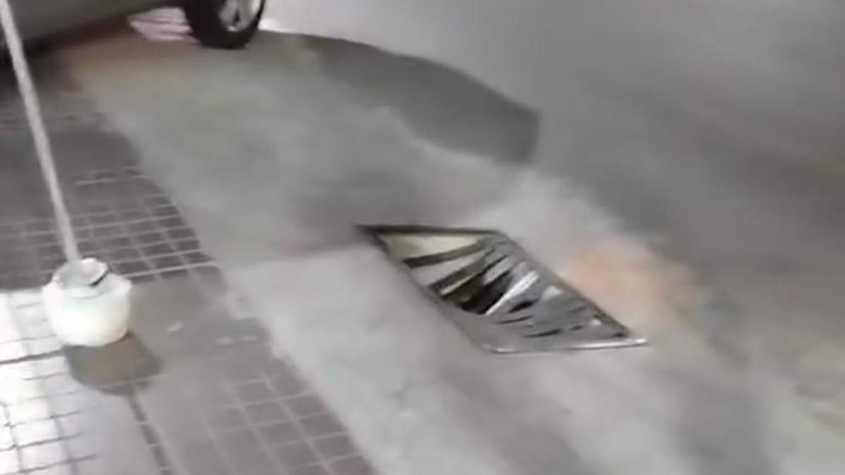 Un peligro para todos.
