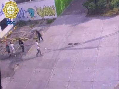 Asaltantes matan a un perro que defendió a su dueño del atraco en el Eje Central (Video)