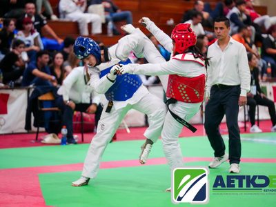 Asociación estatal de Taekwondo del Estado de México convoca a elecciones ilegales