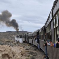 La Trochita en Río Negro: una excursión majestuosa