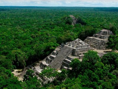 Alerta "tragedia en Calakmul" el arqueólogo Ramón Carrasco