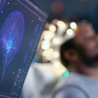 Investigadores identifican cómo el cerebro clasifica las emociones en el sueño