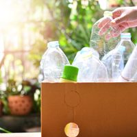 No vas a regar más tus plantas: no tires las botellas plásticas y hacé este eficaz sistema de riego