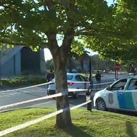 Nordelta: operativos para desalojar a los carpinchos y protestas de vecinos