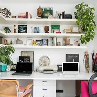 Si querés una planta en tu oficina, pero tenés poca luz, cualquiera de estas tres son perfectas