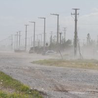 Clima en Neuquén: Alerta por ráfagas intensas durante la noche del domingo