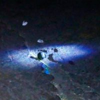 Ambulantes organizados de Puebla denuncian ataque con granada; el artefacto no detonó